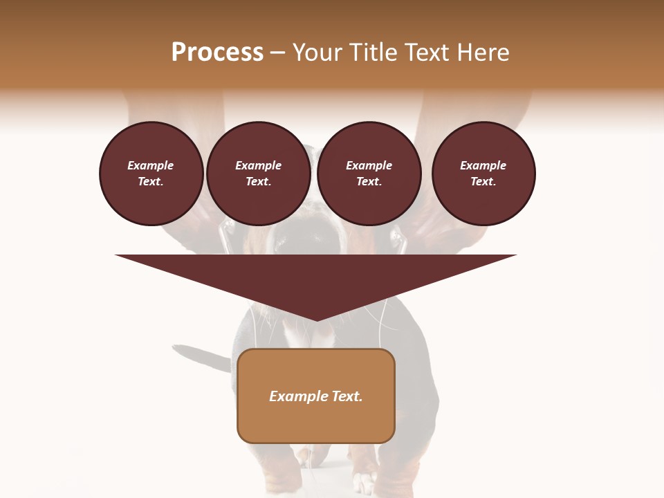 Vet Canine Mammal PowerPoint Template