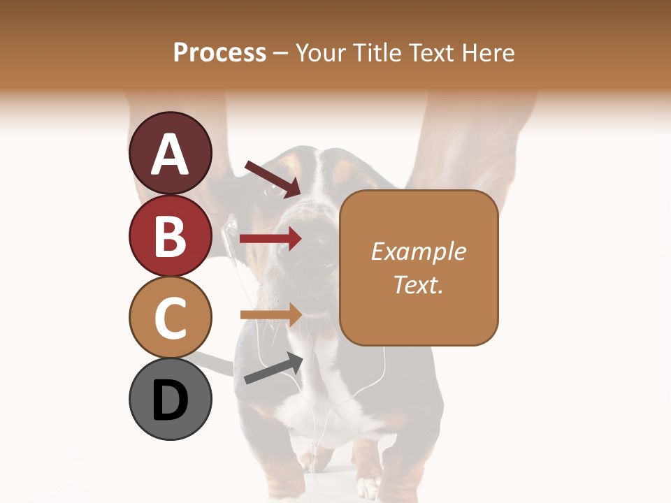 Vet Canine Mammal PowerPoint Template