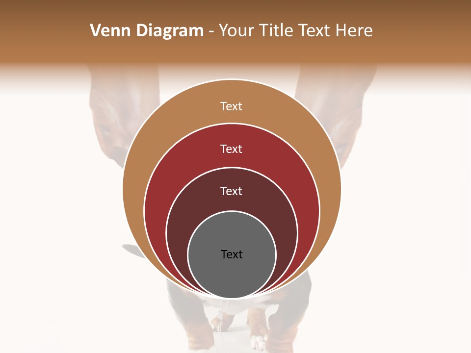 Vet Canine Mammal PowerPoint Template