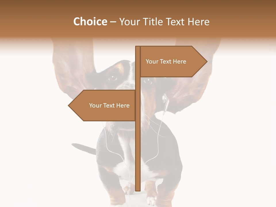 Vet Canine Mammal PowerPoint Template