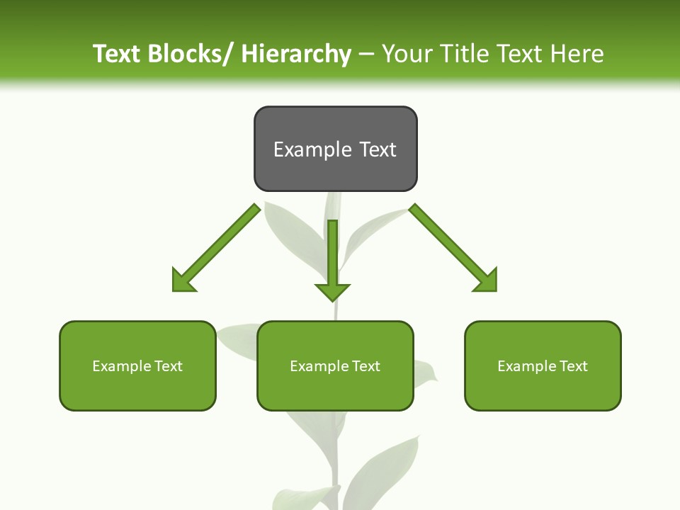 Page Studying Creativity PowerPoint Template