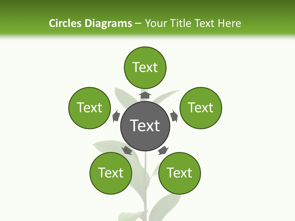 Page Studying Creativity PowerPoint Template