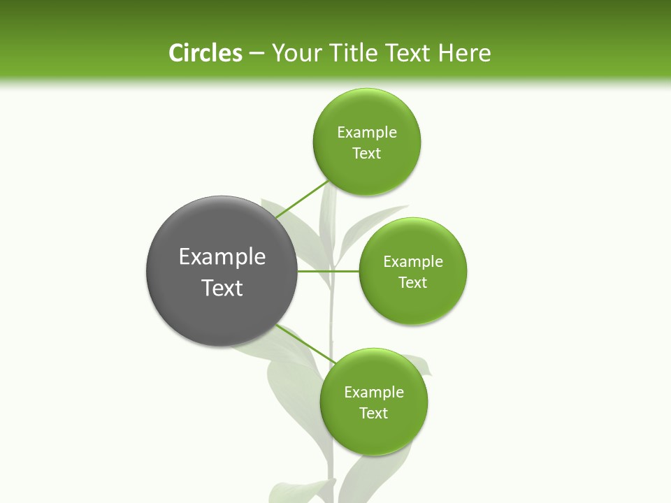 Page Studying Creativity PowerPoint Template