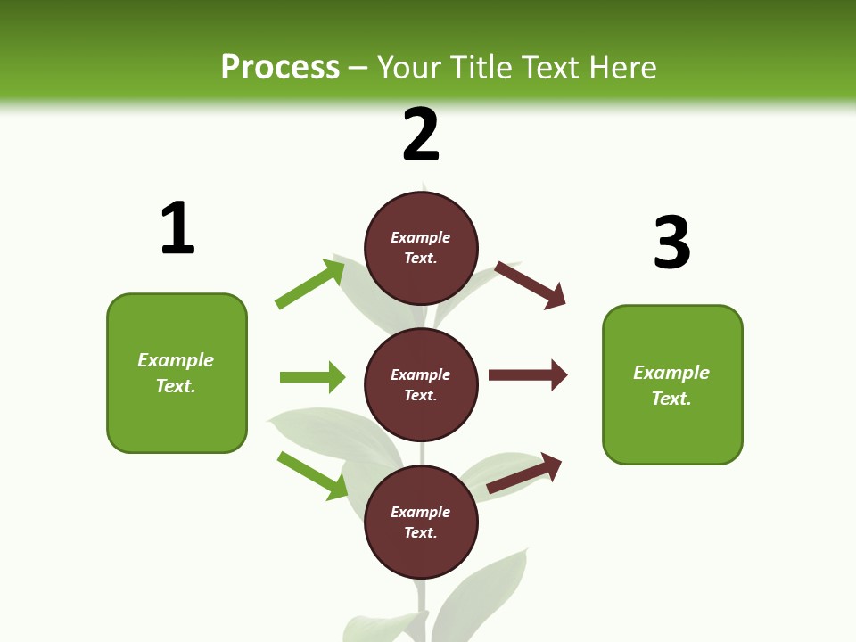 Page Studying Creativity PowerPoint Template