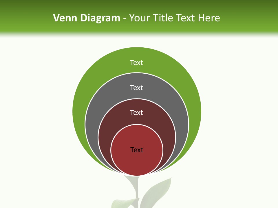 Page Studying Creativity PowerPoint Template