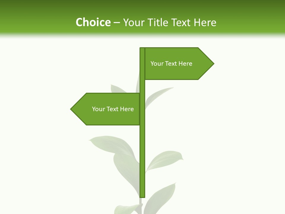 Page Studying Creativity PowerPoint Template