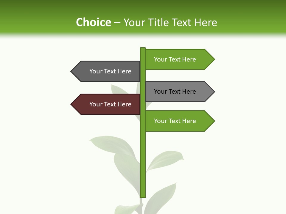 Page Studying Creativity PowerPoint Template