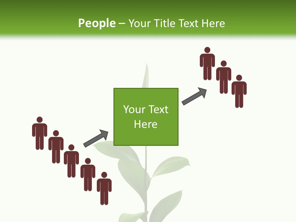 Page Studying Creativity PowerPoint Template