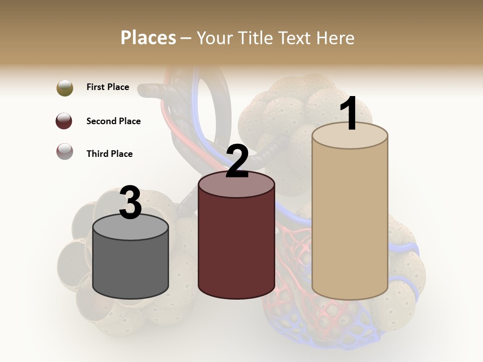 Vein Blood Venous PowerPoint Template