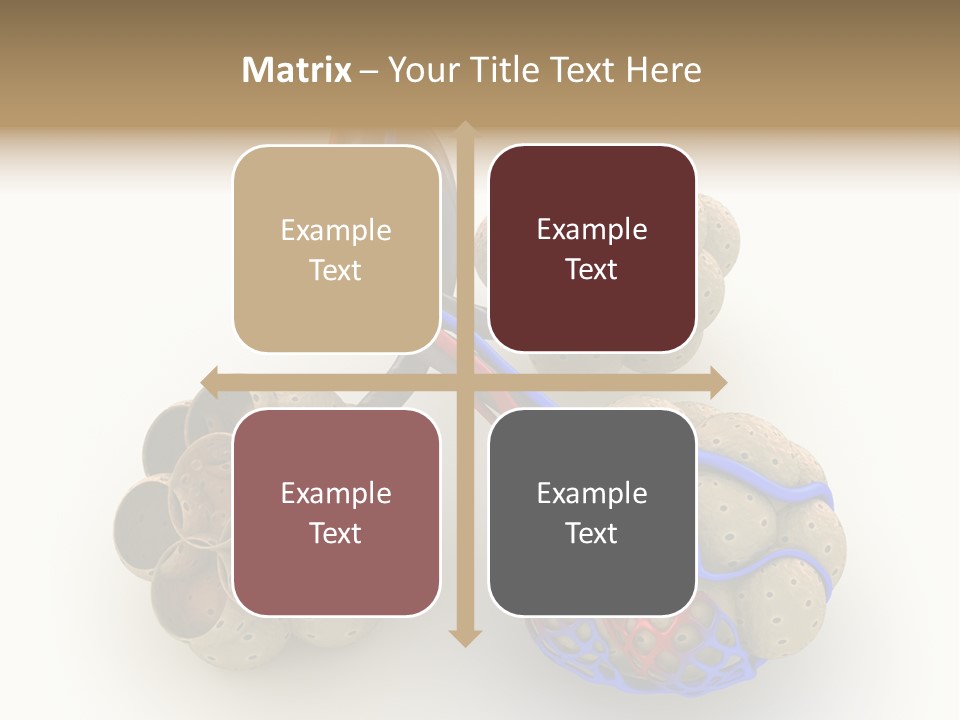 Vein Blood Venous PowerPoint Template