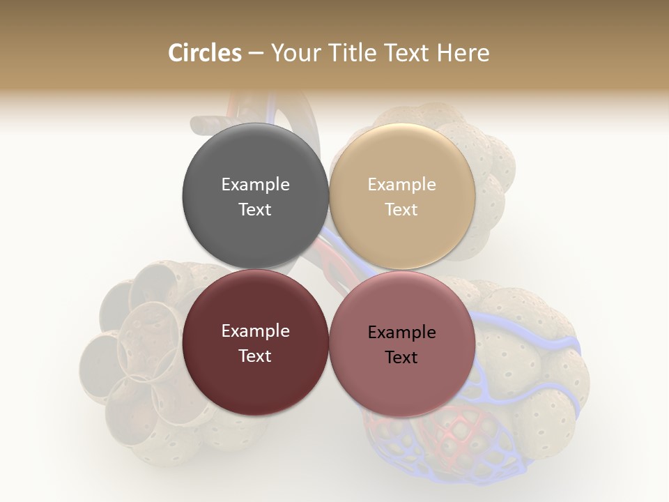 Vein Blood Venous PowerPoint Template