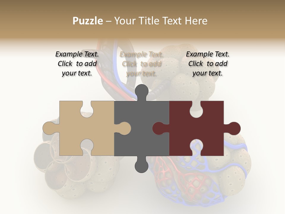 Vein Blood Venous PowerPoint Template