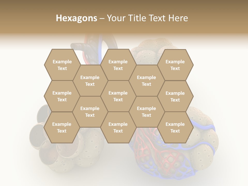 Vein Blood Venous PowerPoint Template