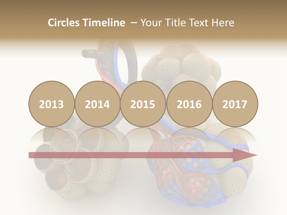 Vein Blood Venous PowerPoint Template