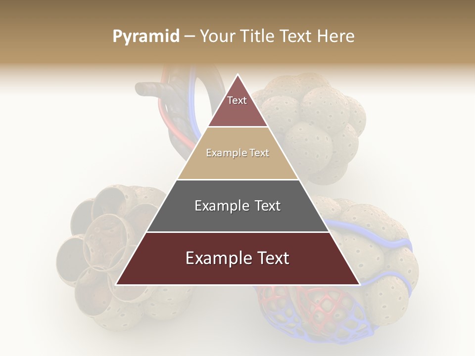 Vein Blood Venous PowerPoint Template