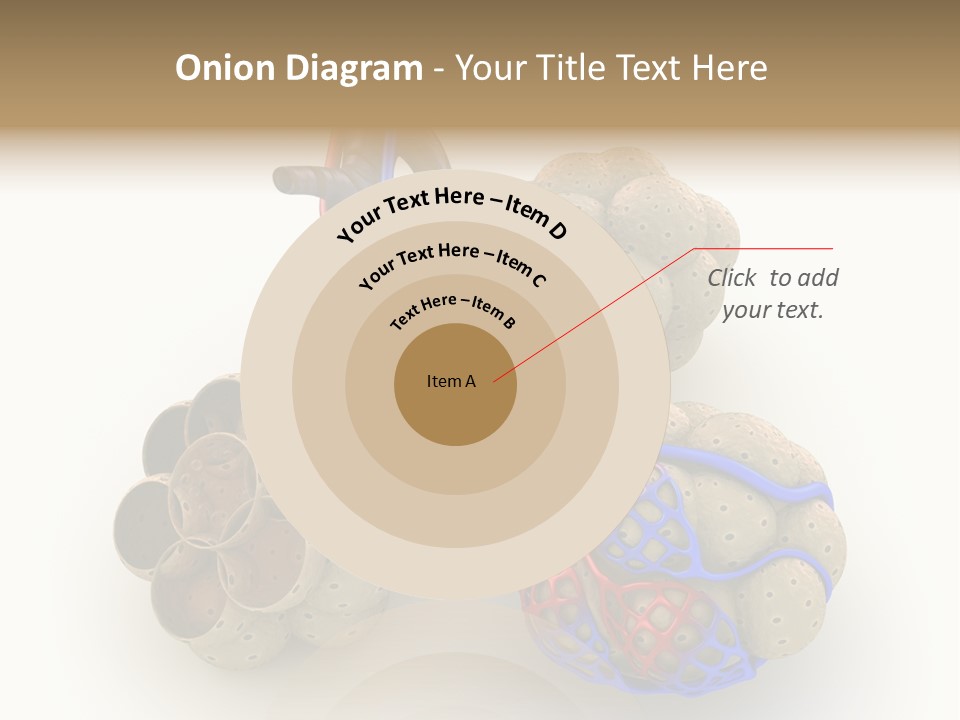 Vein Blood Venous PowerPoint Template