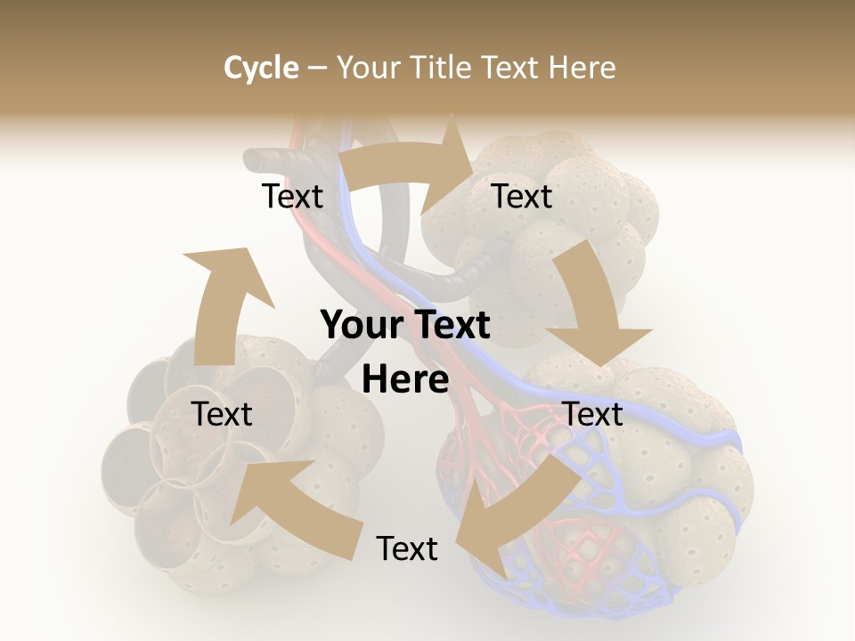 Vein Blood Venous PowerPoint Template