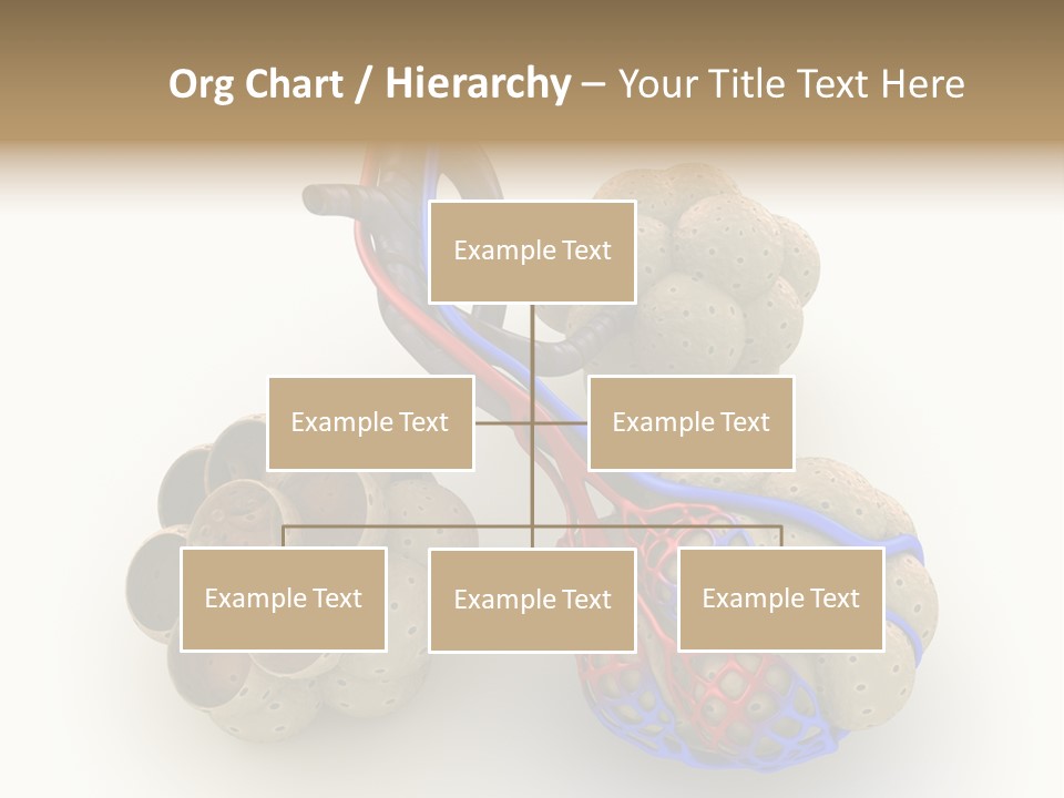 Vein Blood Venous PowerPoint Template