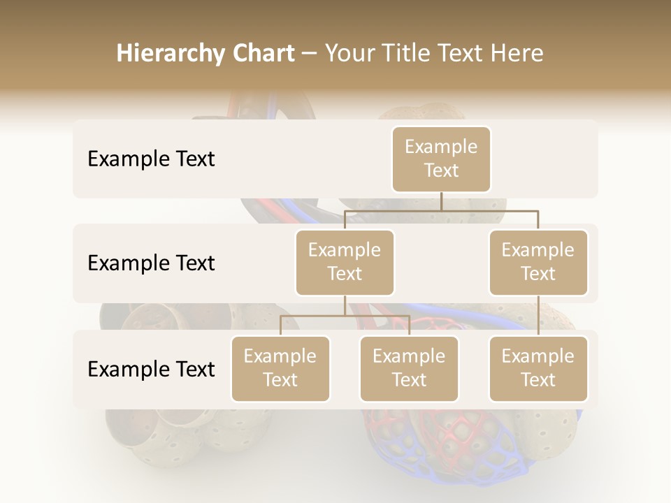 Vein Blood Venous PowerPoint Template