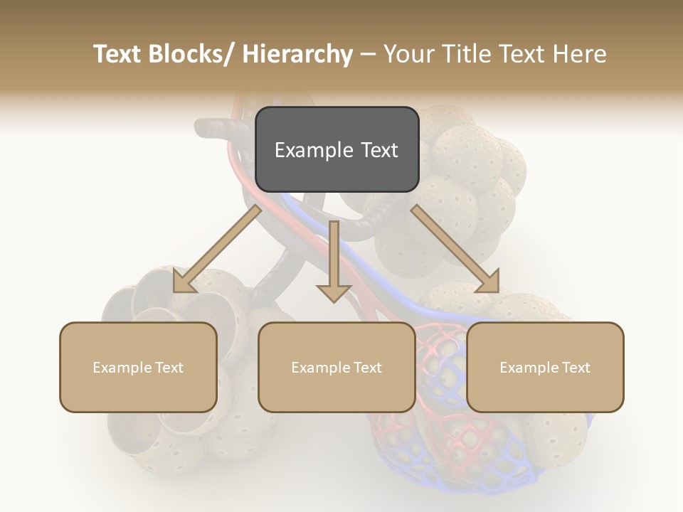Vein Blood Venous PowerPoint Template