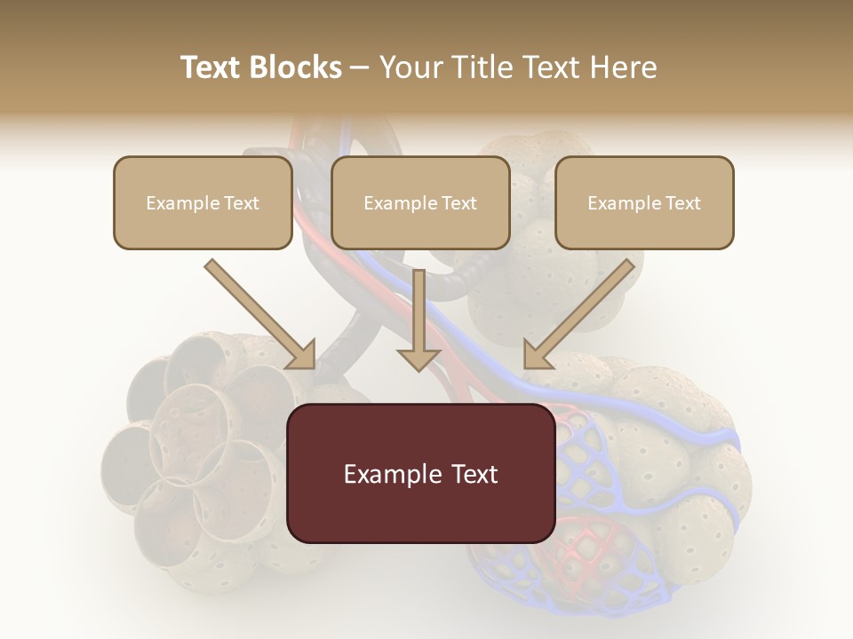 Vein Blood Venous PowerPoint Template