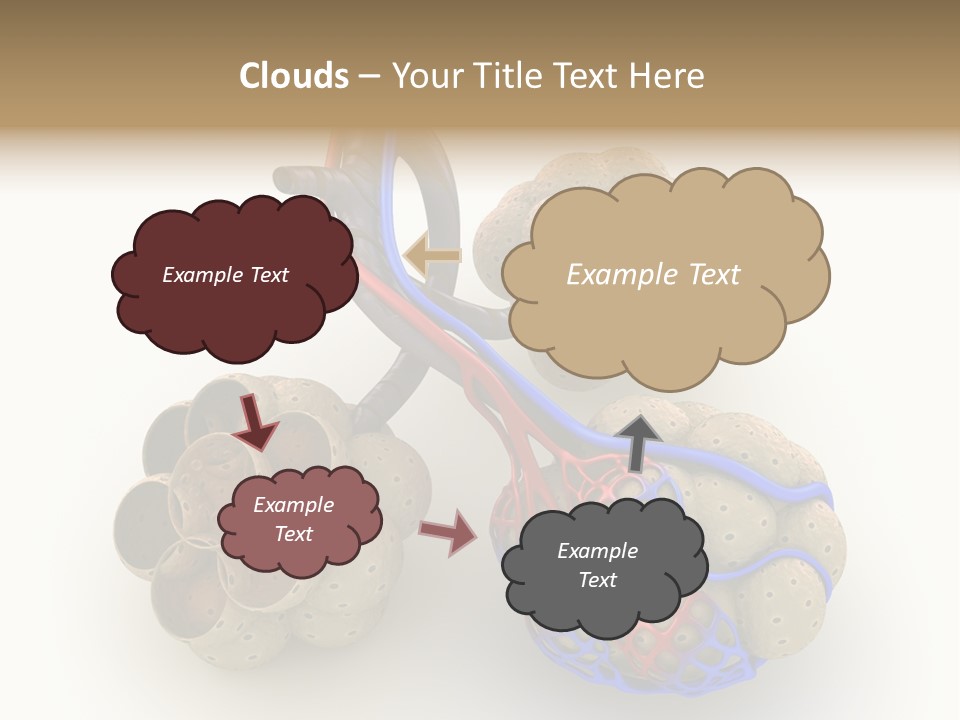 Vein Blood Venous PowerPoint Template