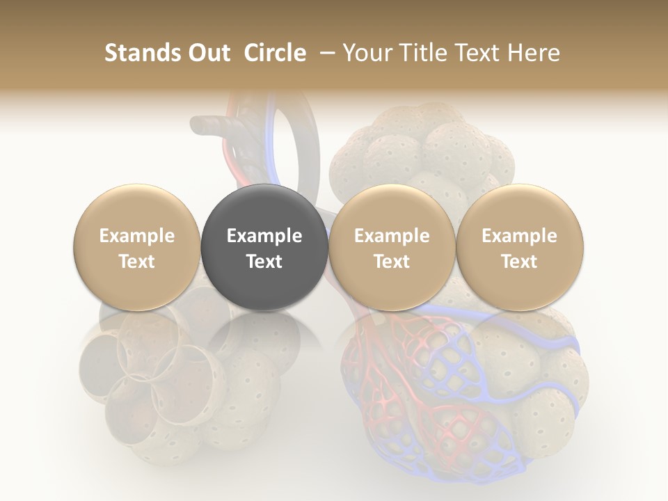 Vein Blood Venous PowerPoint Template