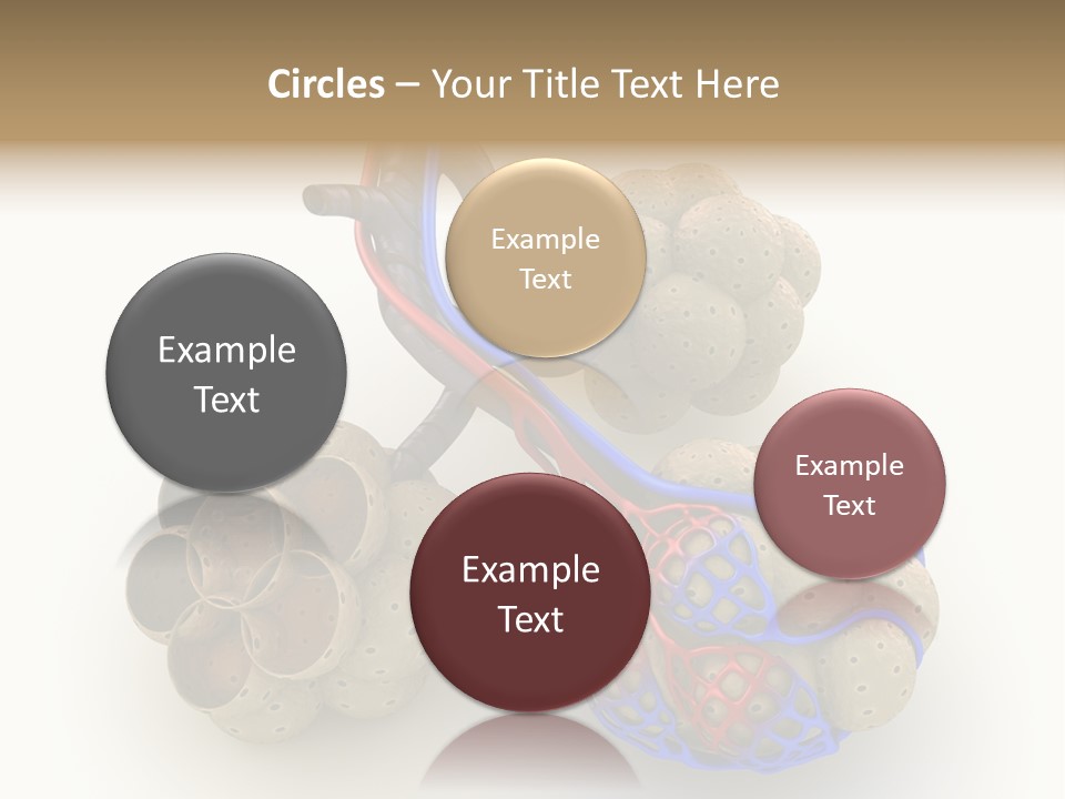 Vein Blood Venous PowerPoint Template