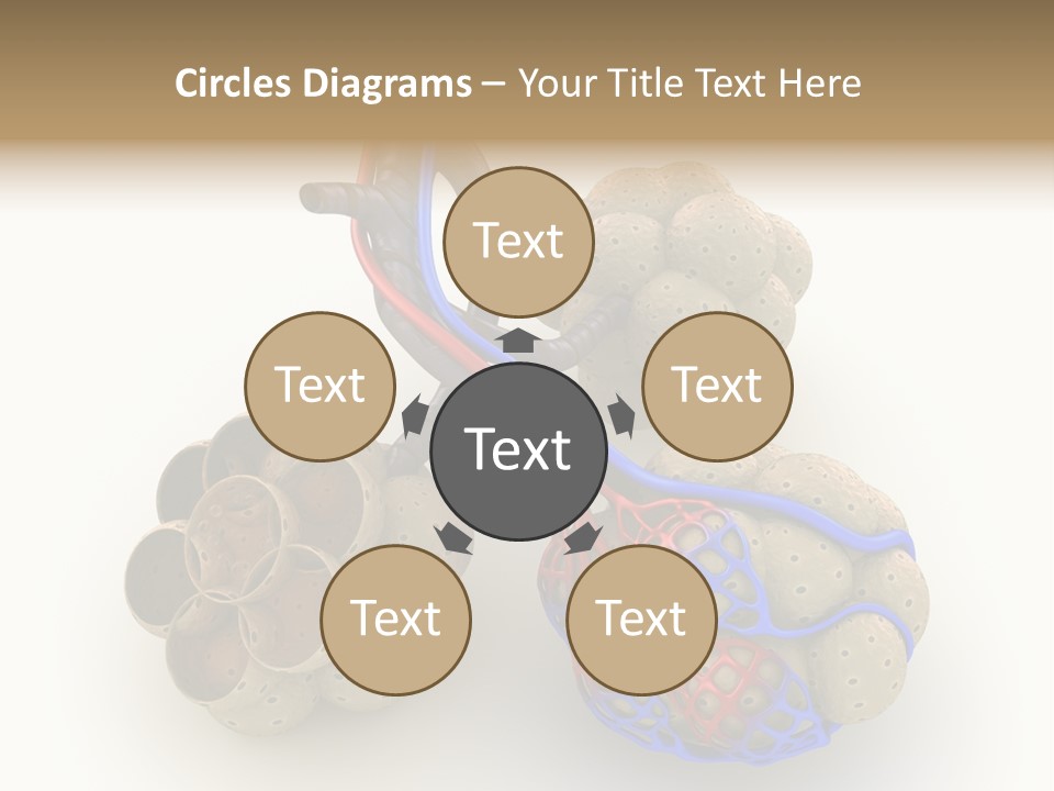 Vein Blood Venous PowerPoint Template