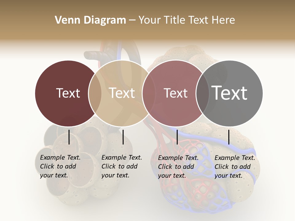 Vein Blood Venous PowerPoint Template