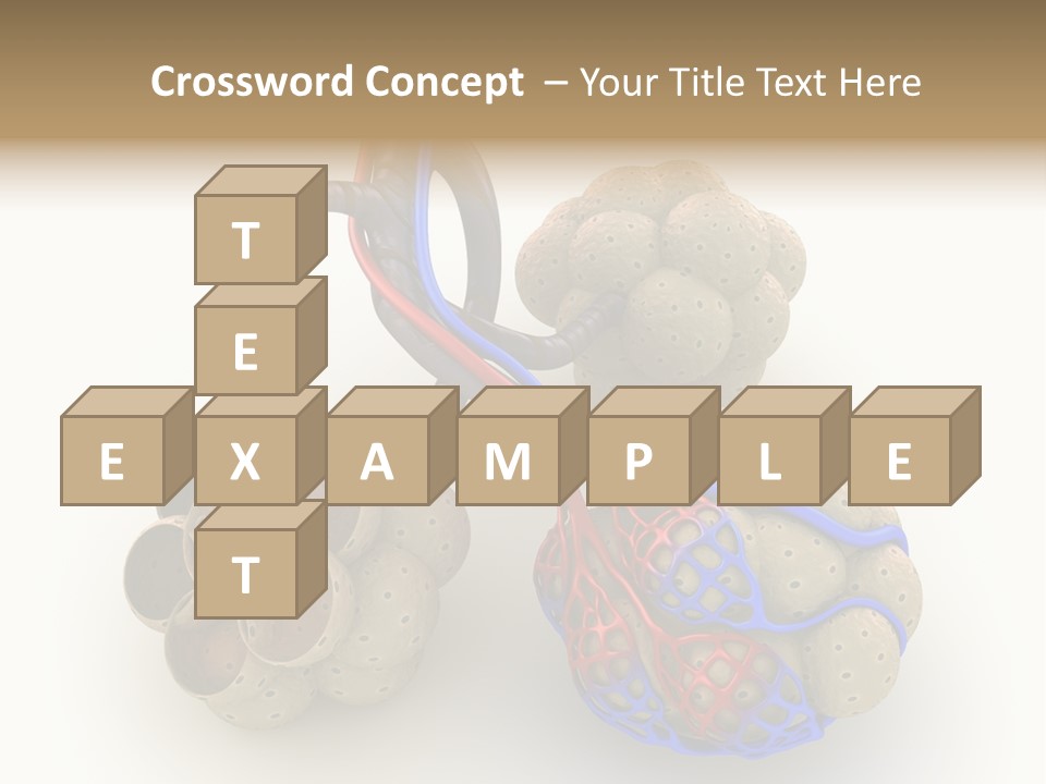 Vein Blood Venous PowerPoint Template