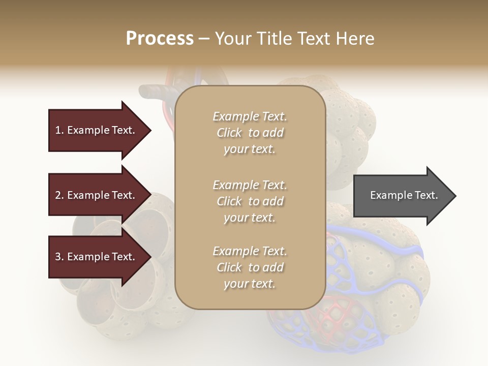 Vein Blood Venous PowerPoint Template