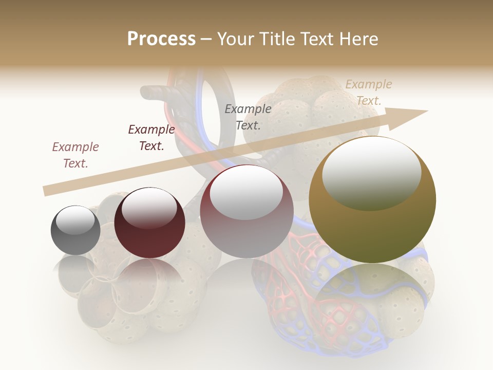 Vein Blood Venous PowerPoint Template