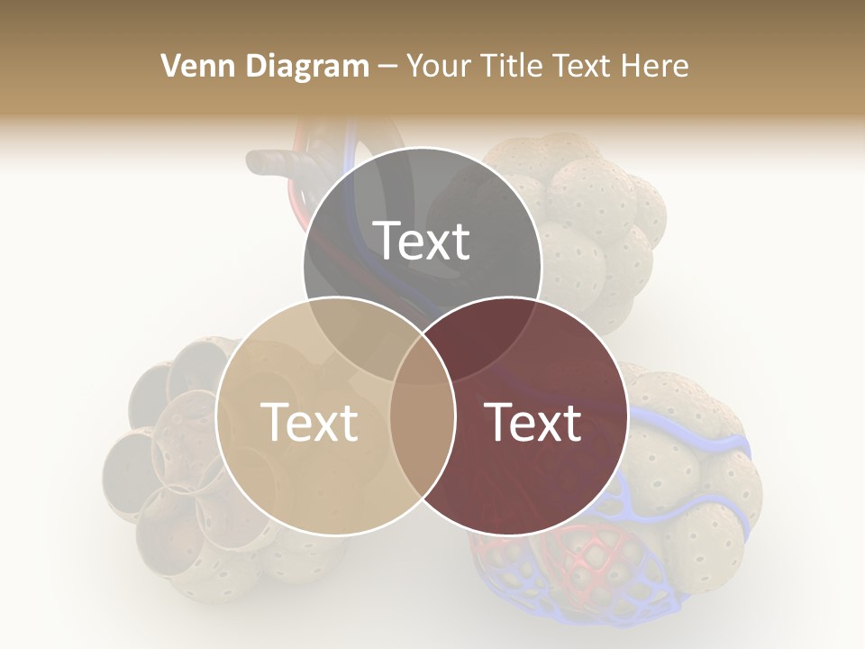 Vein Blood Venous PowerPoint Template