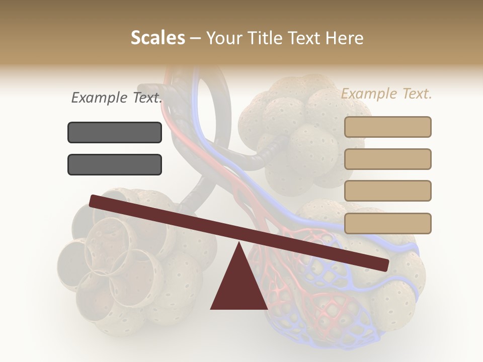 Vein Blood Venous PowerPoint Template