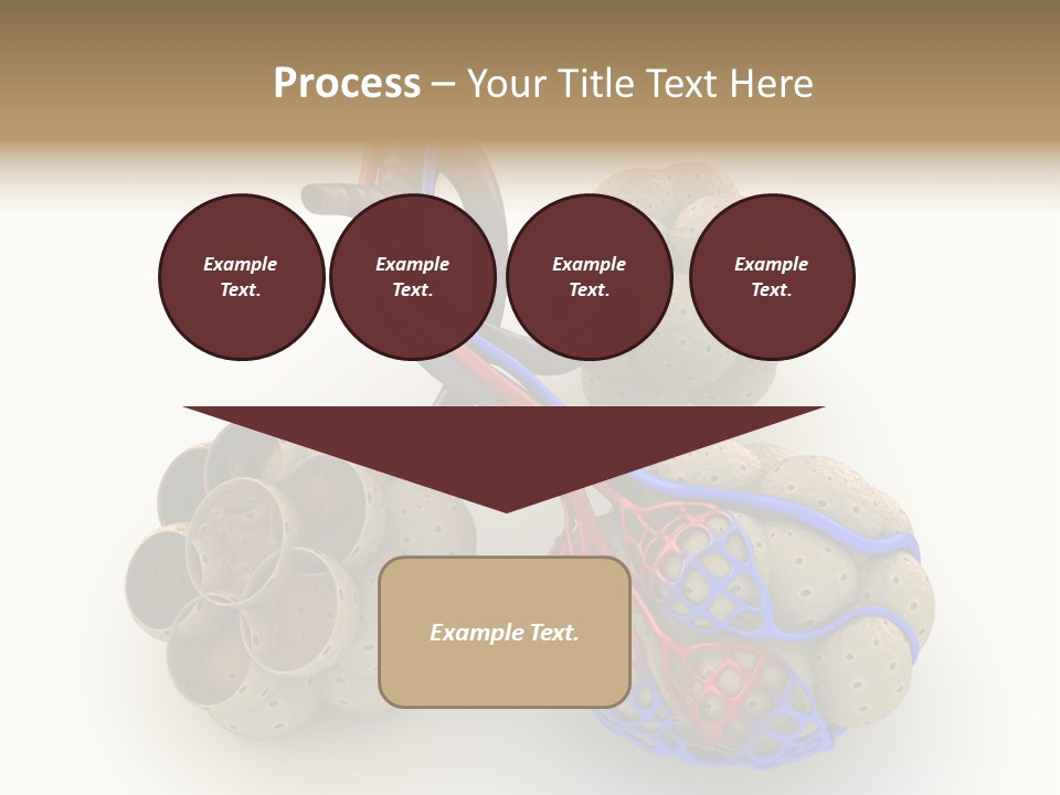 Vein Blood Venous PowerPoint Template