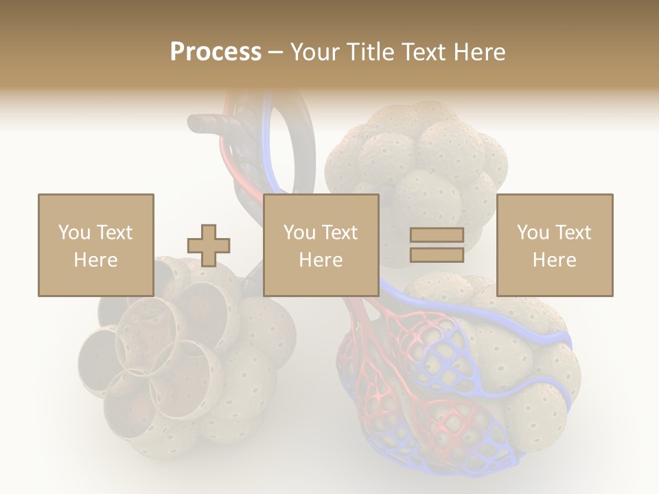 Vein Blood Venous PowerPoint Template