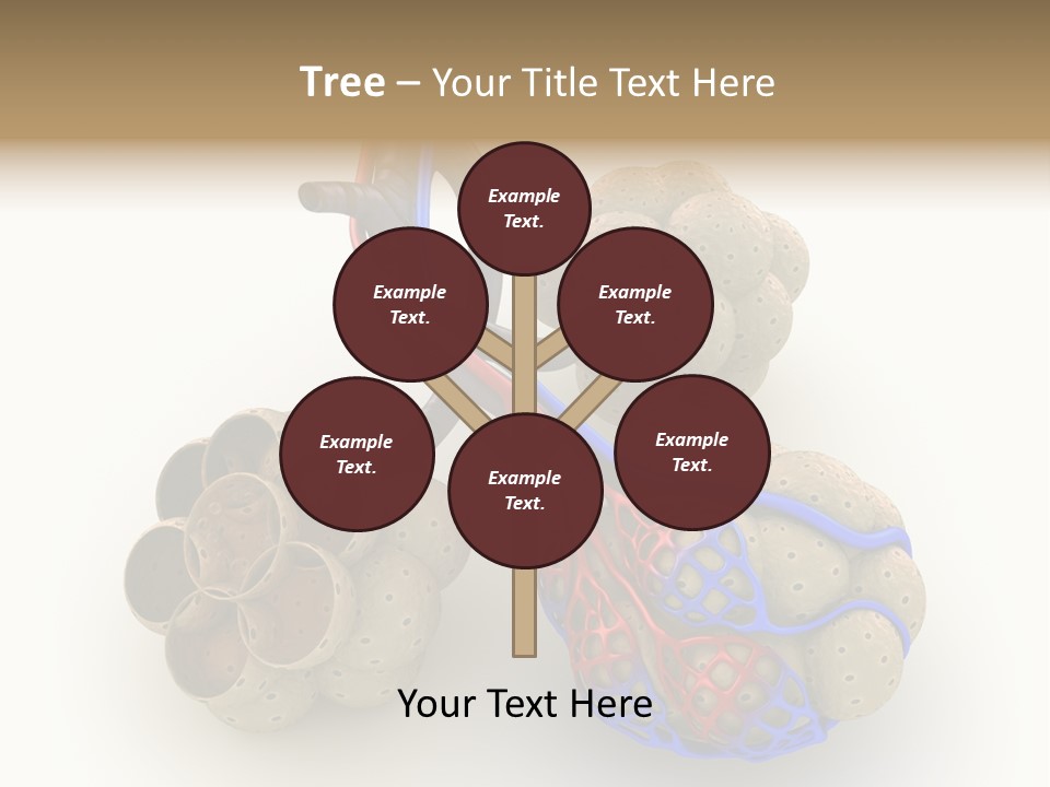 Vein Blood Venous PowerPoint Template