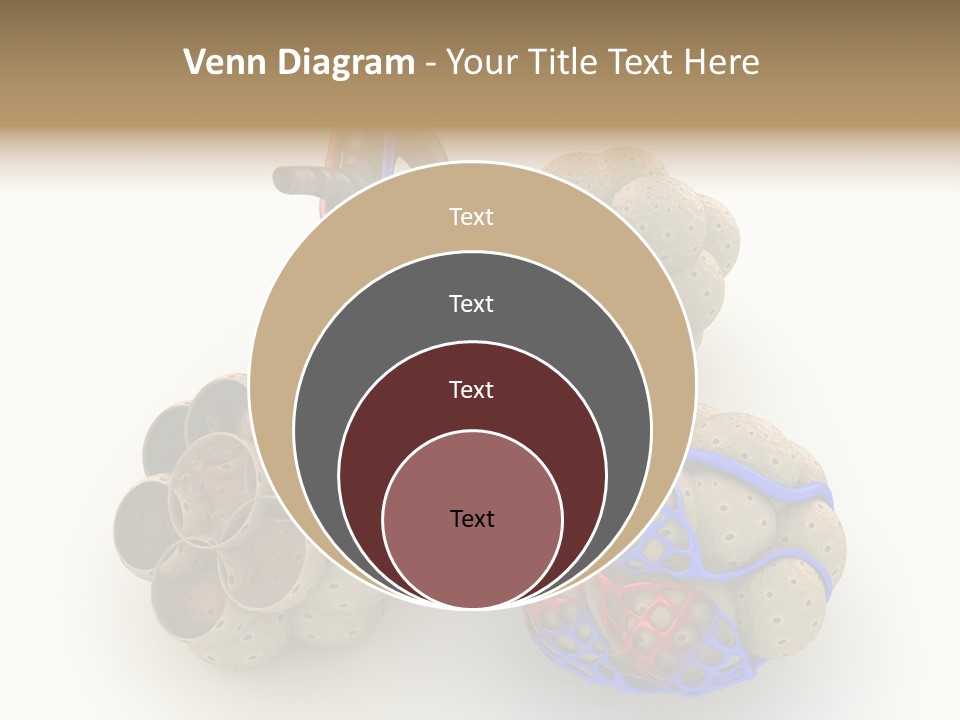 Vein Blood Venous PowerPoint Template