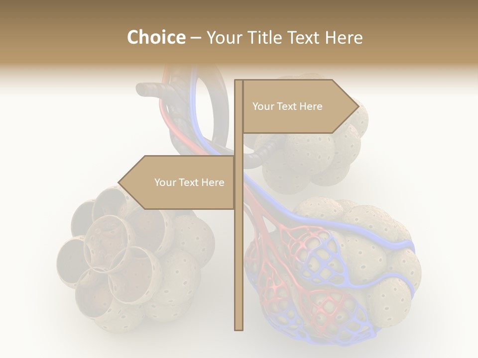 Vein Blood Venous PowerPoint Template