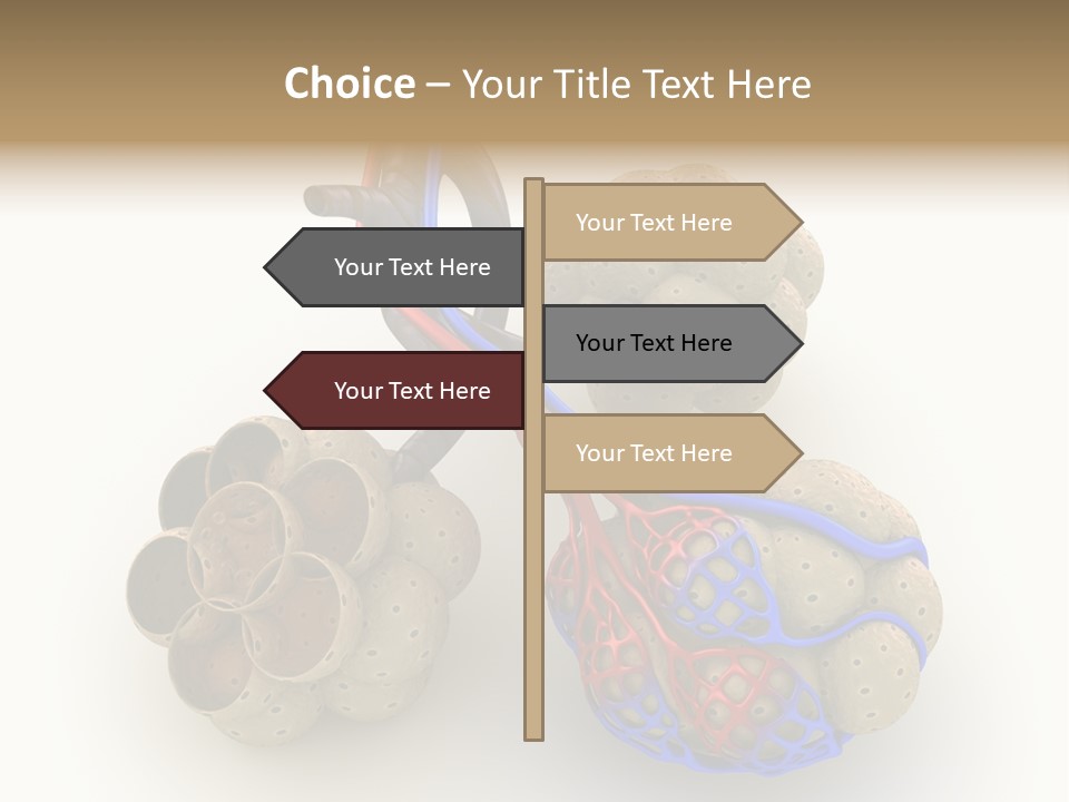 Vein Blood Venous PowerPoint Template