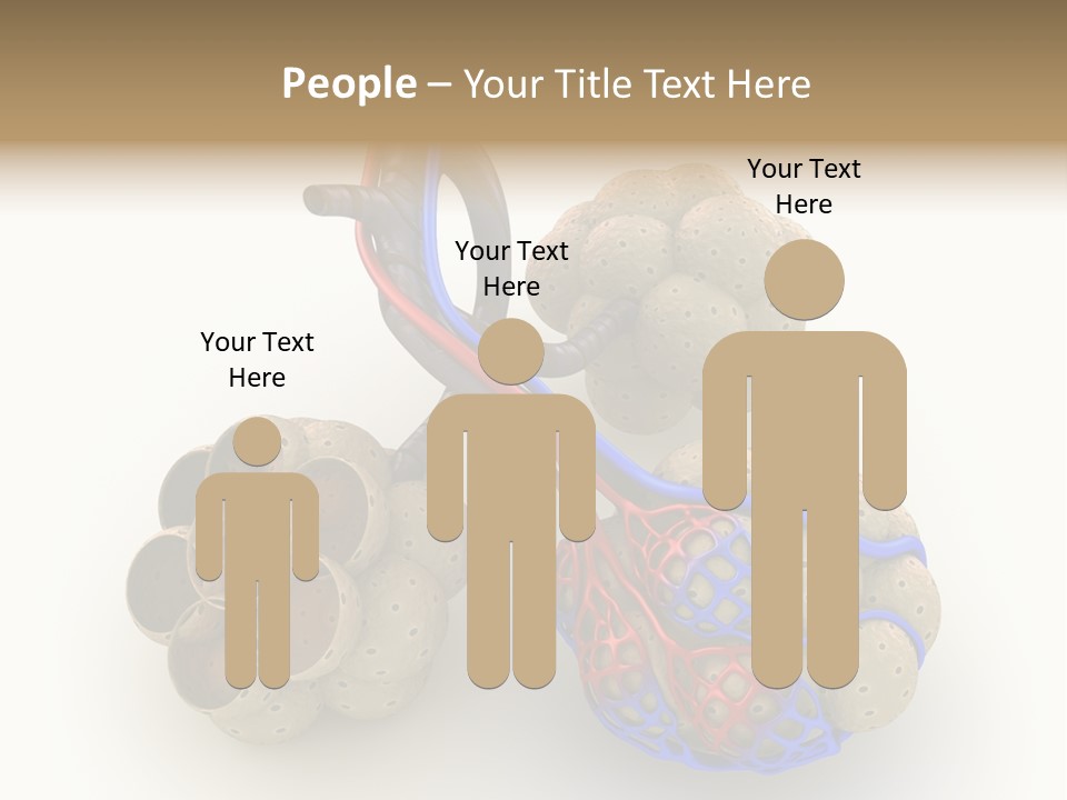 Vein Blood Venous PowerPoint Template