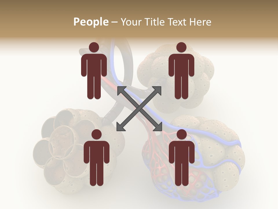 Vein Blood Venous PowerPoint Template