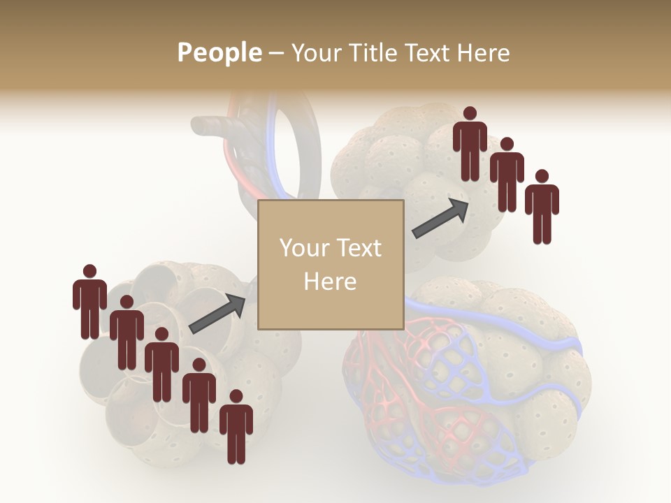 Vein Blood Venous PowerPoint Template