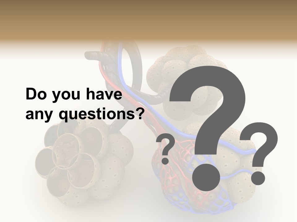 Vein Blood Venous PowerPoint Template