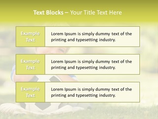 Leisure Blond Summer PowerPoint Template