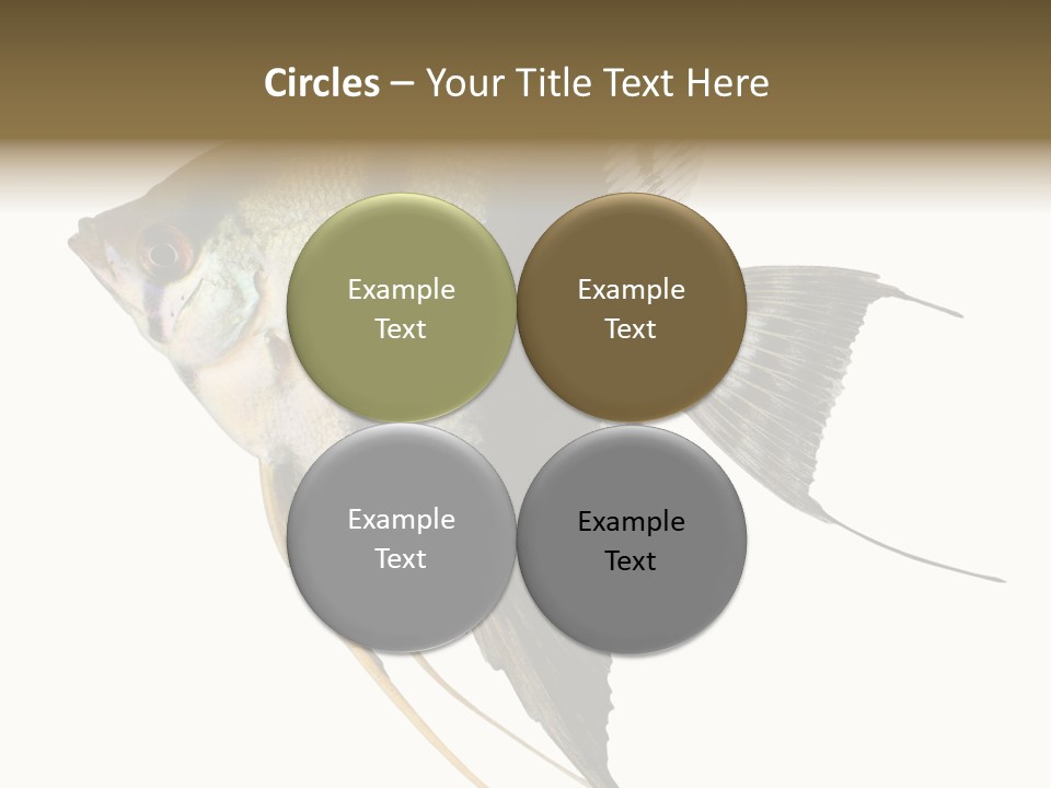 Sea Aquatic Water PowerPoint Template