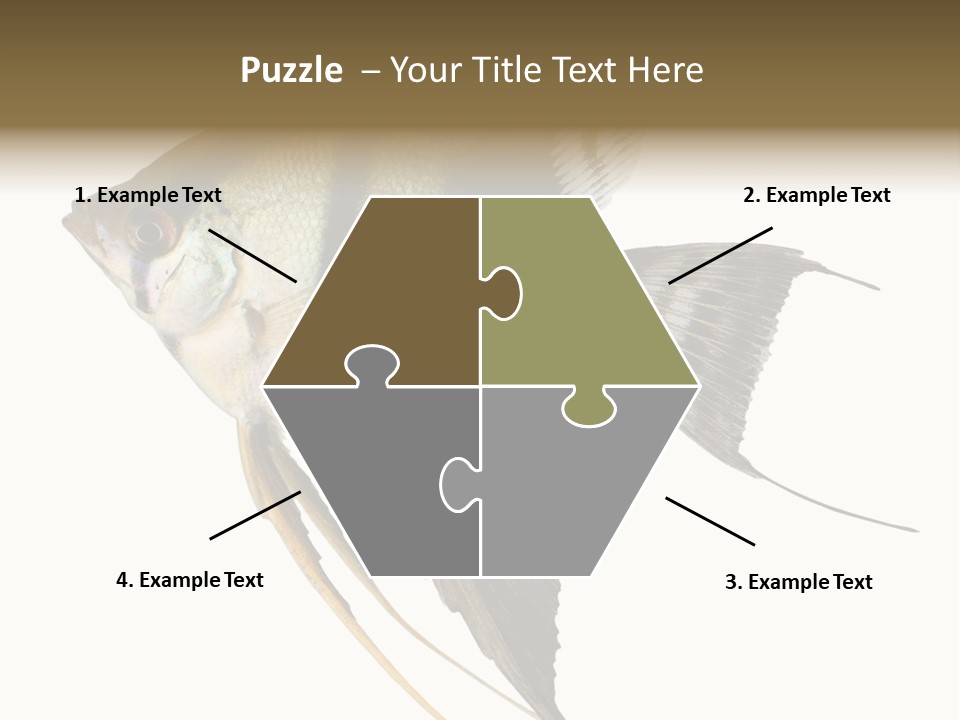 Sea Aquatic Water PowerPoint Template