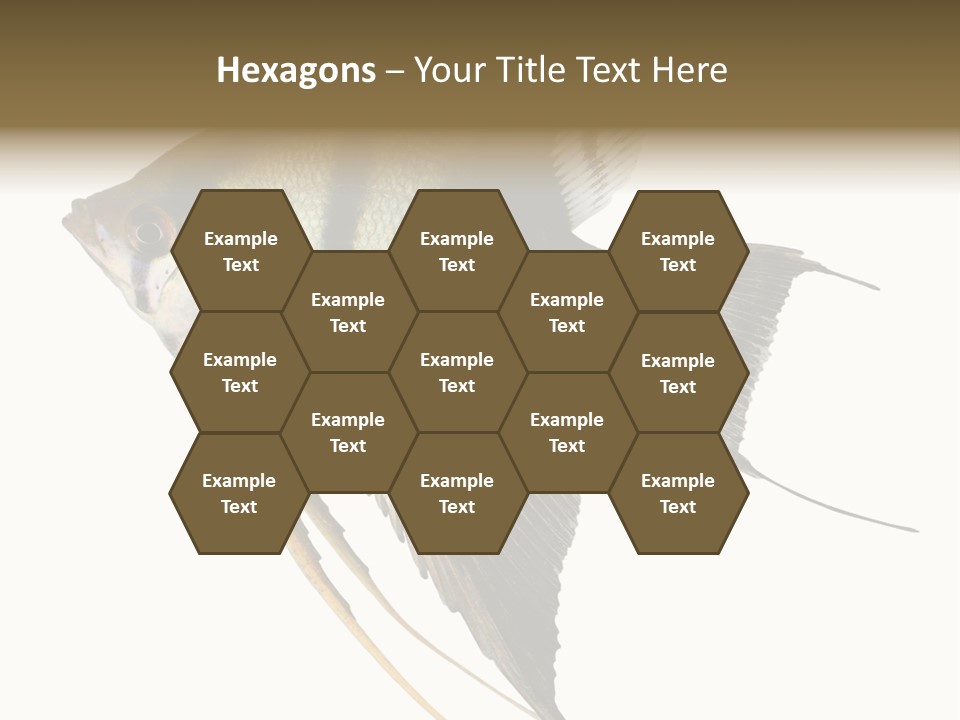 Sea Aquatic Water PowerPoint Template