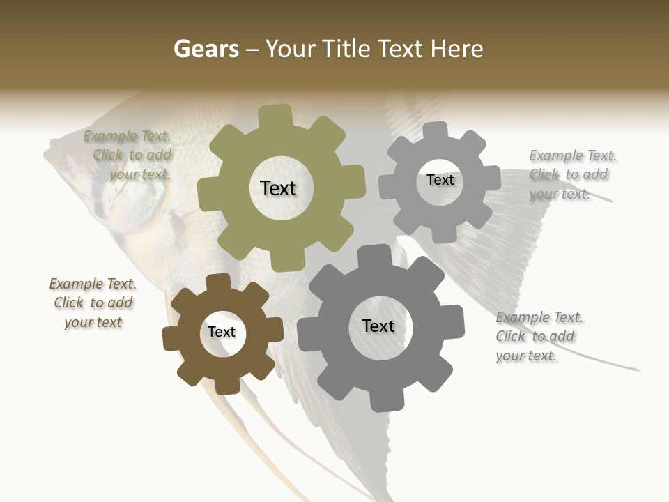 Sea Aquatic Water PowerPoint Template